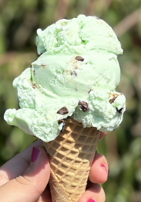 Snowflake Ice Cream - Small Cup/Cone